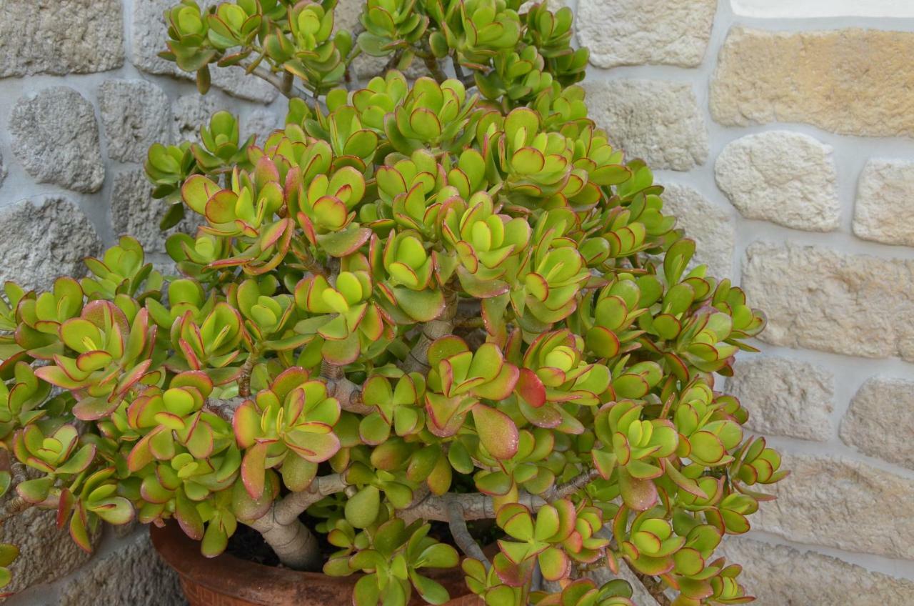 Antica Dimora